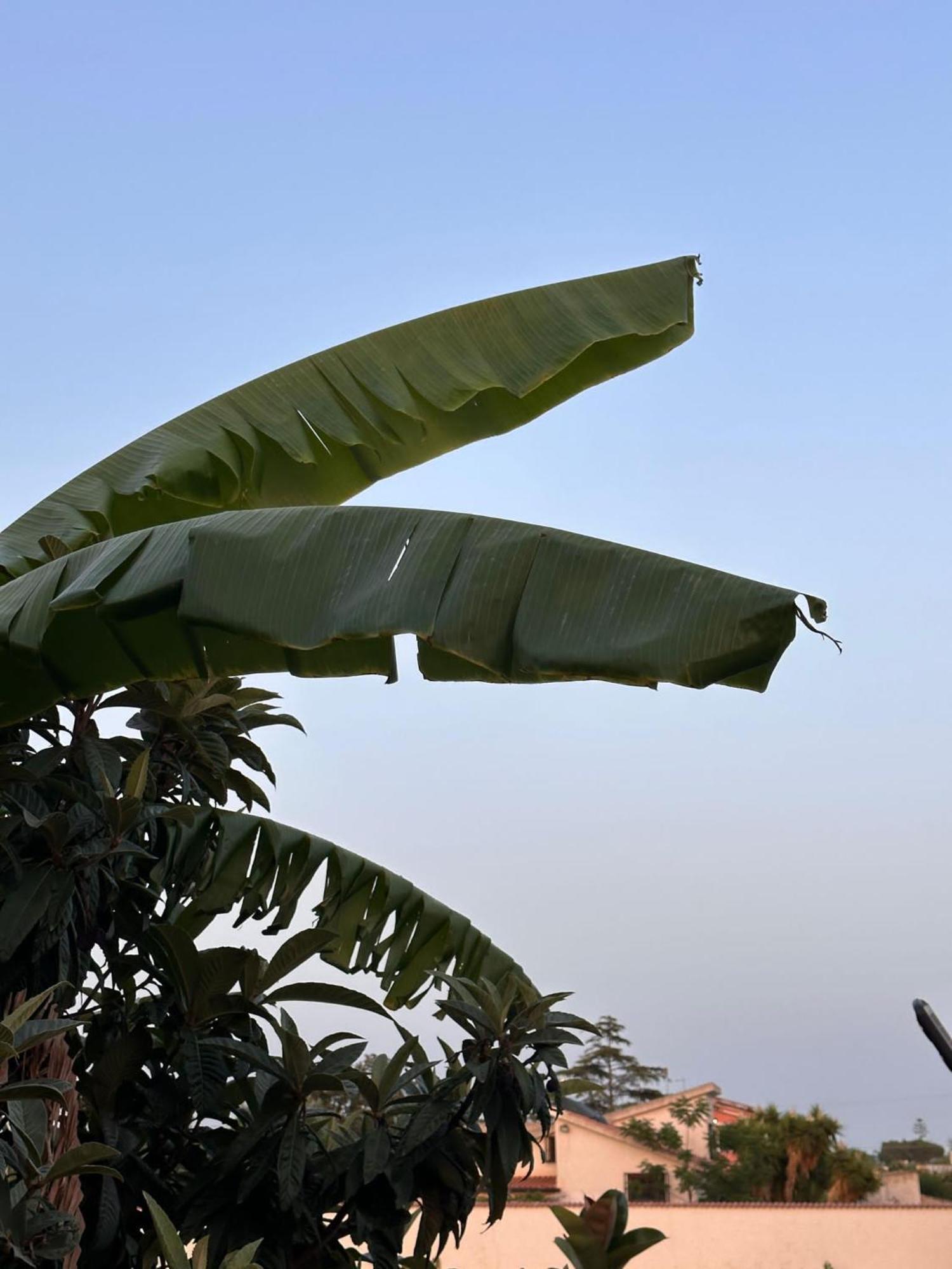 Casa Himera Fontane Bianche Exteriér fotografie